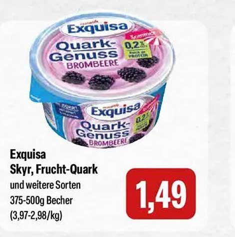 Exquisa Skyr, Frucht-Quark Brombeere 375-500g Becher