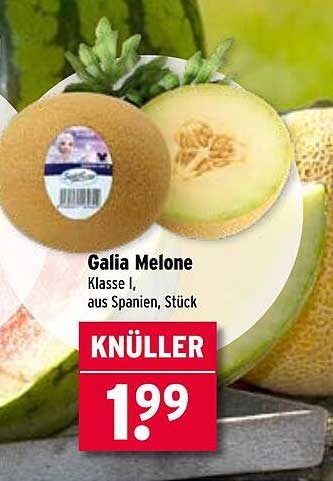 Galia Melone - Klasse I aus Spanien, Stück