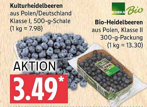 Kulturheidelbeeren aus Polen/Deutschland Klasse I 500-g-Schale