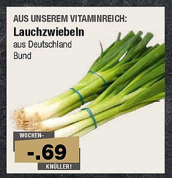 Lauchzwiebeln aus Deutschland - Bund