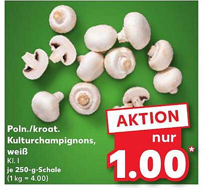 Poln./kroat. Kulturchampignons, weiß Kl. I