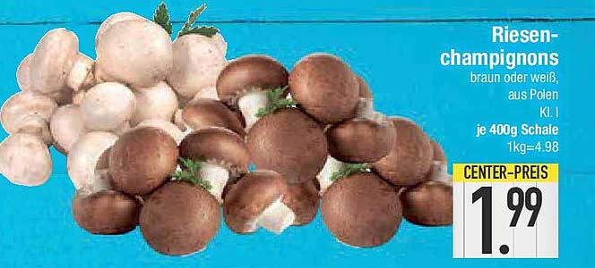 Riesen-Champignons braun oder weiß, aus Polen, Kl. I