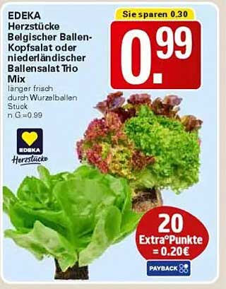 EDEKA Herzstücke Belgischer Ballen-Kopfsalat oder niederländischer Ballensalat Trio Mix