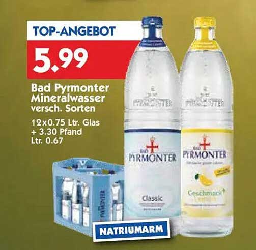 Bad Pyrmonter Mineralwasser versch. Sorten