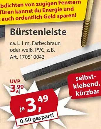 Bürstenleiste