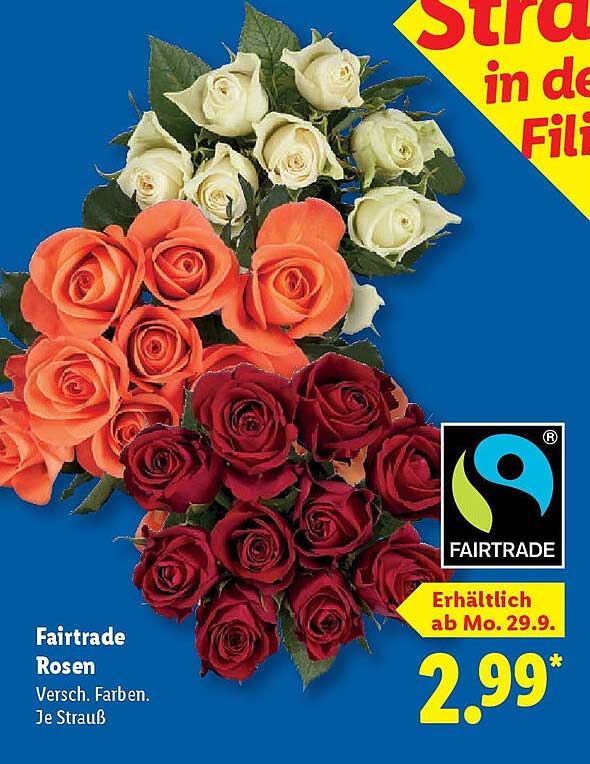 Fairtrade Rosen - Verschiedene Farben, je Strauß