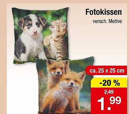 Fotokissen versch. Motive
