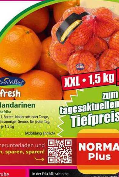 Frische Mandarinen XXL - 1,5 kg