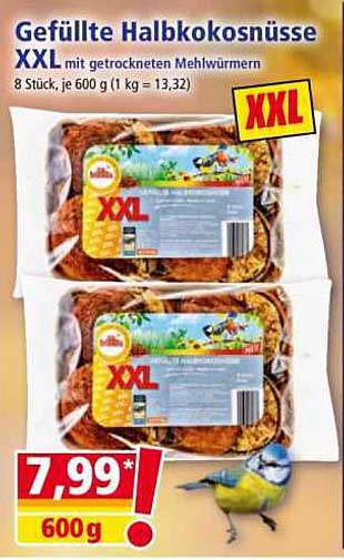 Gefüllte Halbkokosnüsse XXL mit getrockneten Mehlwürmern