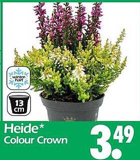 Heide* Colour Crown