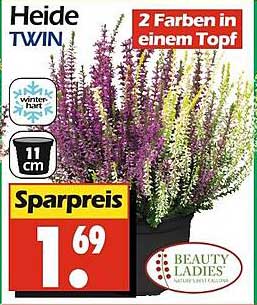 Heide Twin - 2 Farben in einem Topf