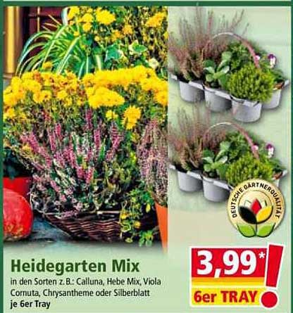 Heidegarten Mix – Bunte Vielfalt für deinen Garten