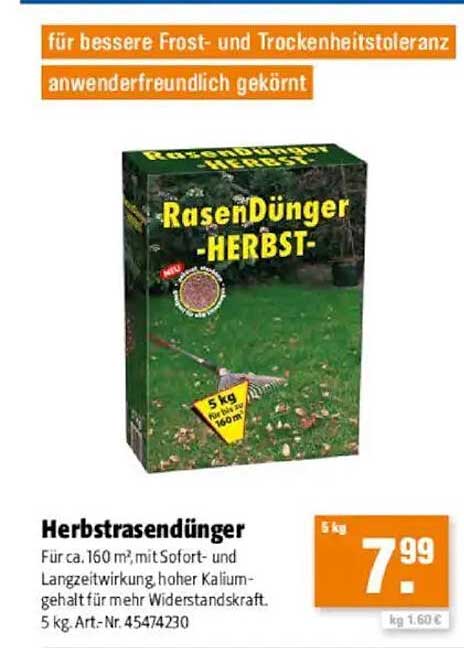 Herbstrasendünger - für einen gesunden Rasen
