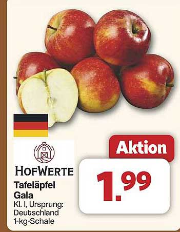 HofWerte Tafeläpfel Gala – 1-kg-Schale für nur 1,99 €