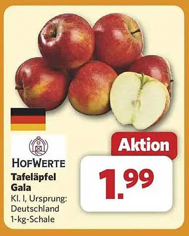 HofWerte Tafeläpfel Gala