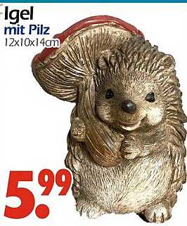 Igel mit Pilz