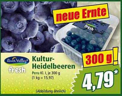 Kultur-Heidelbeeren 300 g