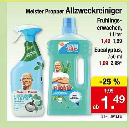 Meister Proper Allzweckreiniger Frühlings-Erwachen, 1 Liter