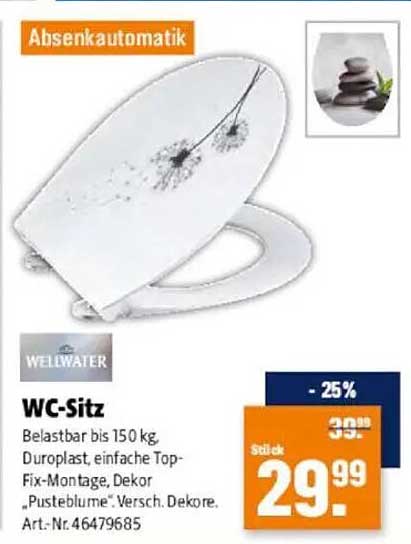 WC-Sitz mit Absenkautomatik - Duroplast, Dekor 'Pusteblume'