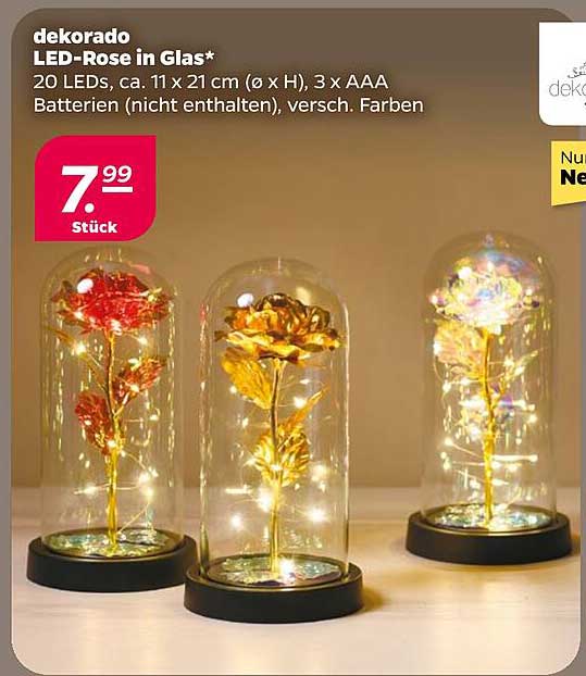 dekorado LED-Rose in Glas*