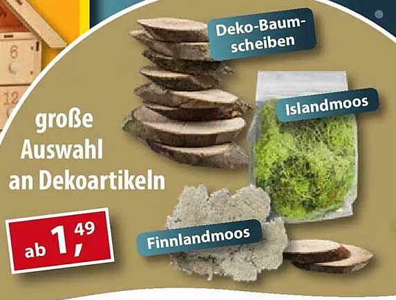 Große Auswahl an Dekoartikeln – Deko-Baumscheiben, Islandmoos und Finnlandmoos