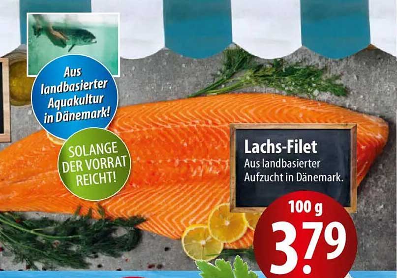 Lachs-Filet aus landbasierter Aufzucht in Dänemark