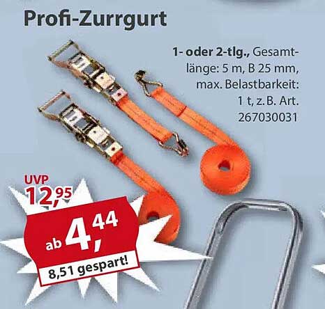 Profi-Zurrgurt 1- oder 2-tlg. (Gesamtlänge: 5 m, B 25 mm, max. Belastbarkeit: 1 t)