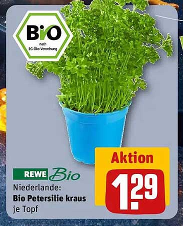 REWE Bio Petersilie kraus je Topf