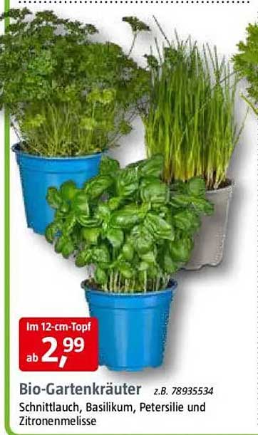 Bio-Gartenkräuter - Schnittlauch, Basilikum, Petersilie und Zitronenmelisse