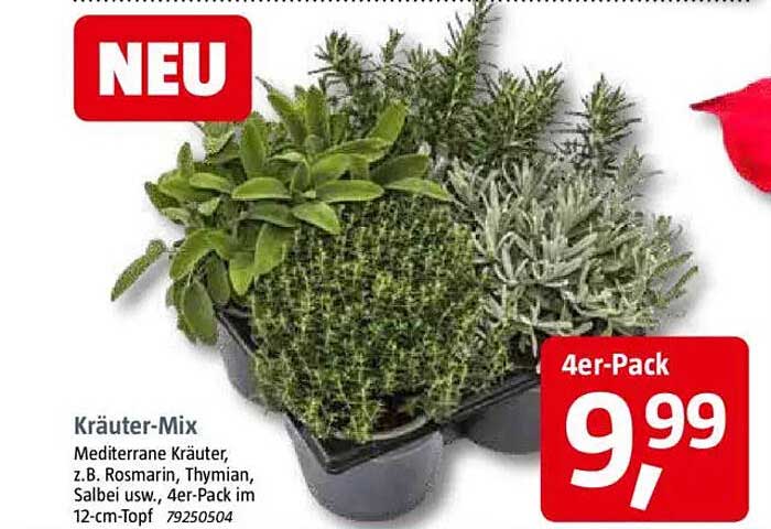 Kräuter-Mix 4er-Pack: Mediterrane Kräuter für Ihren Garten