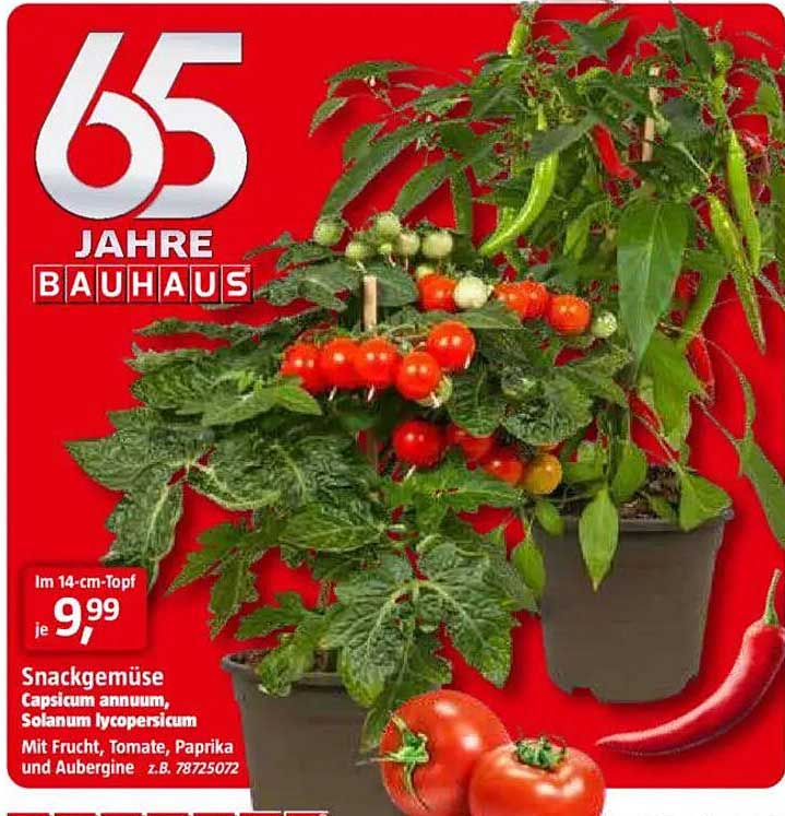 Snackgemüse im 14-cm-Topf für nur 9,99€