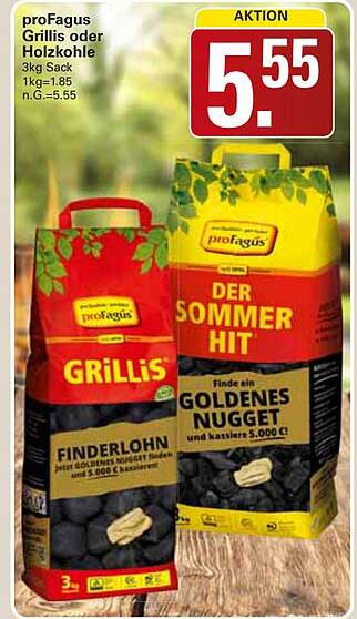 proFagus Grillis oder Holzkohle 3kg Sack - Aktion