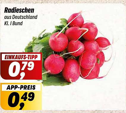 Radieschen aus Deutschland Kl. I Bund