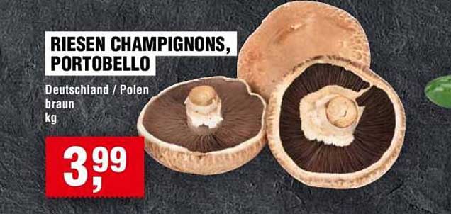 RIESEN CHAMPIGNONS, PORTOBELLO