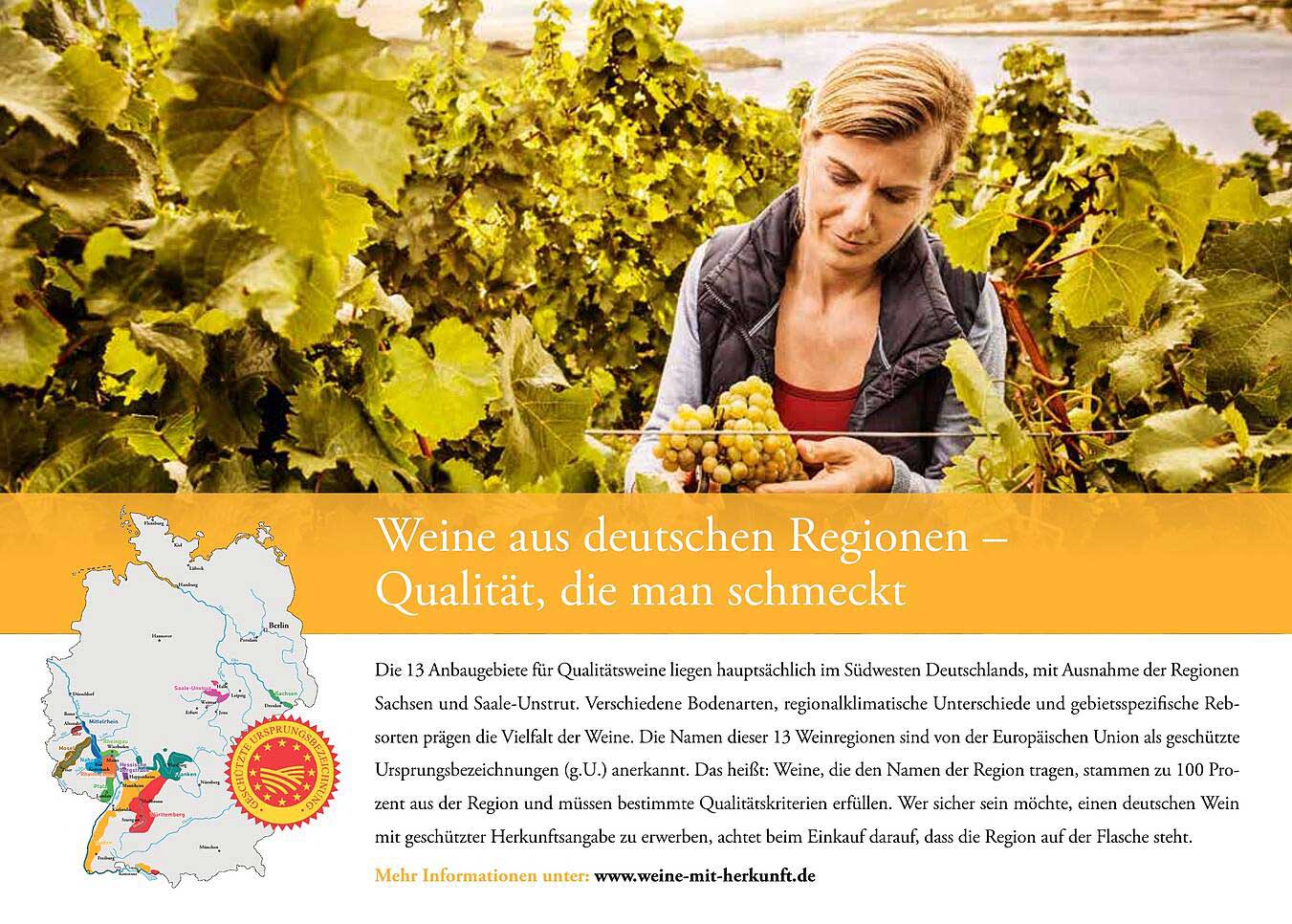 Weine aus deutschen Regionen – Qualität, die man schmeckt