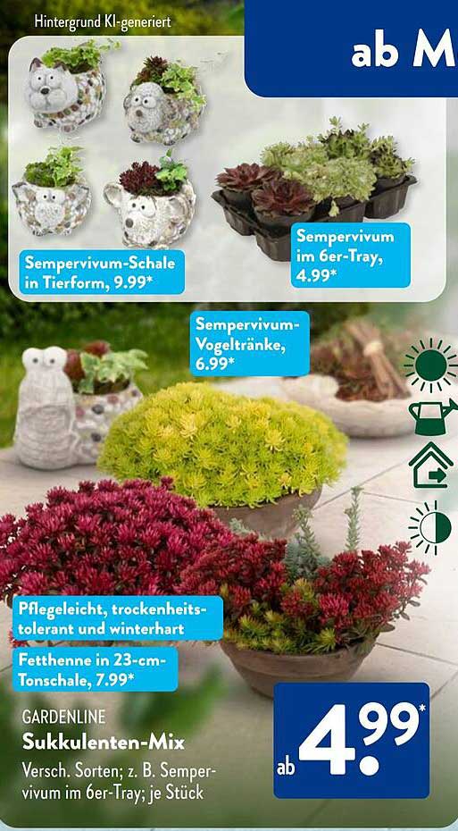 GARDENLINE Sukkulenten-Mix