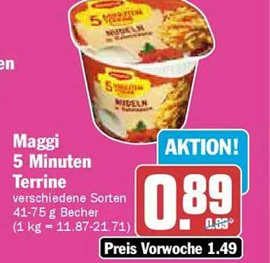Maggi 5 Minuten Terrine - verschiedene Sorten